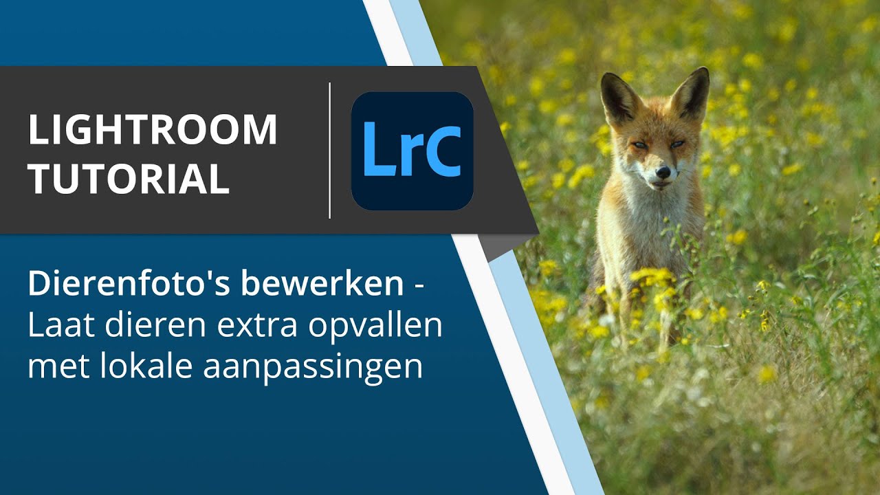 Dierenfoto's bewerken in Adobe Lightroom - Laat dieren extra opvallen met lokale aanpassingen
