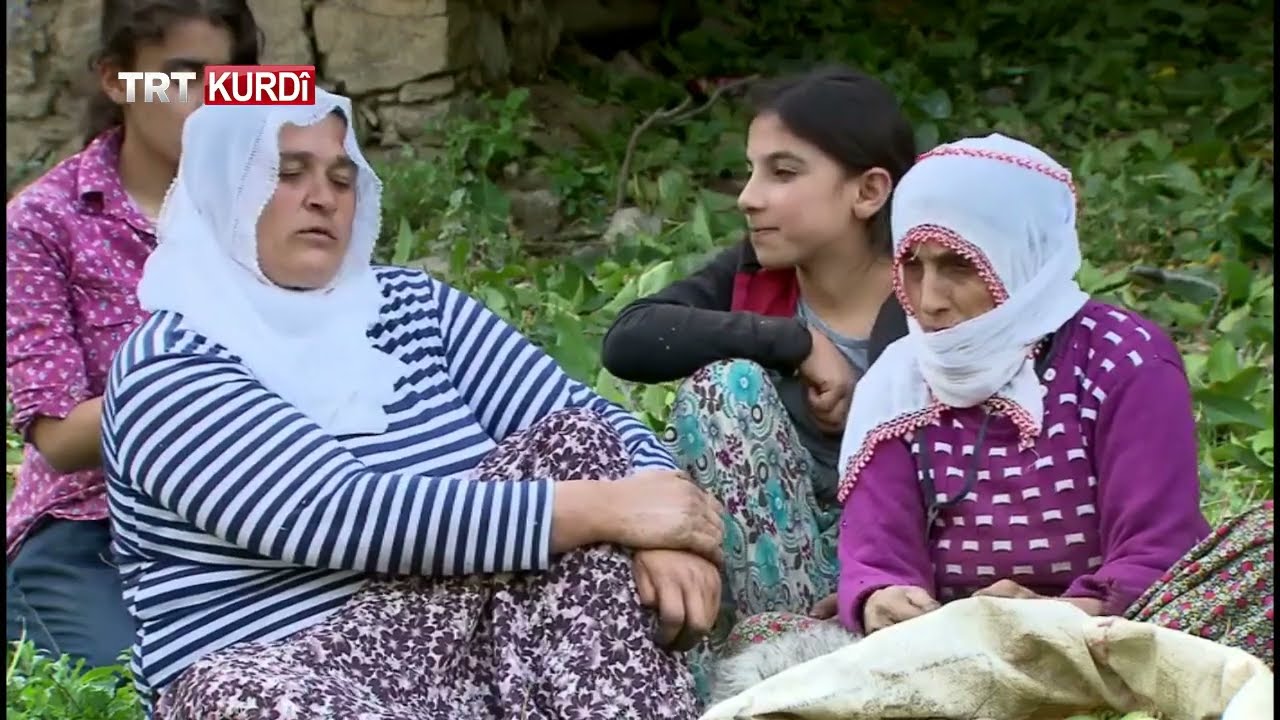 Rêwî - Beşa 330. (Bitlis/Hizan)