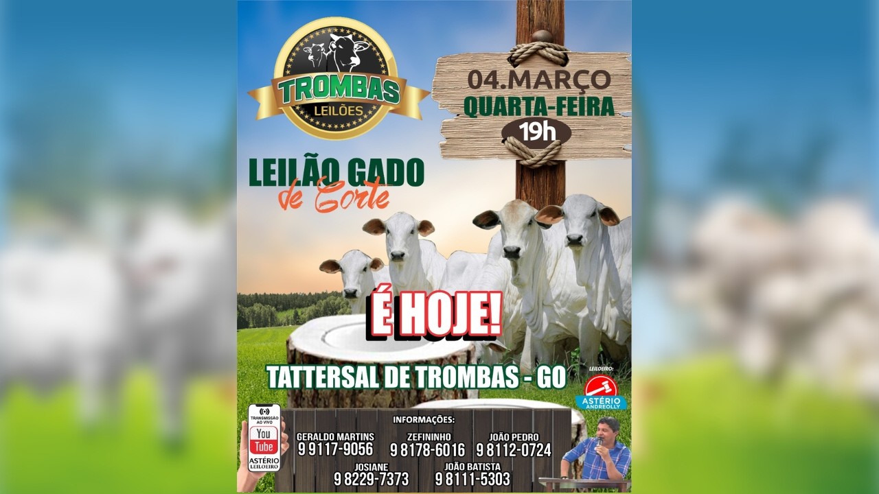 LEILÃO DE GADO DE CORTE TROMBAS LEILÕES - TROMBAS GOIAS  - 04 / 03 / 2026