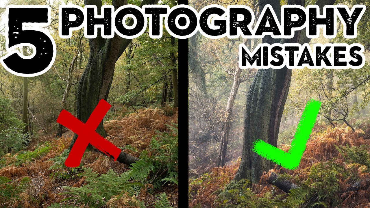 5 распространенных ошибок при фотосъемке в лесу (и как их исправить)