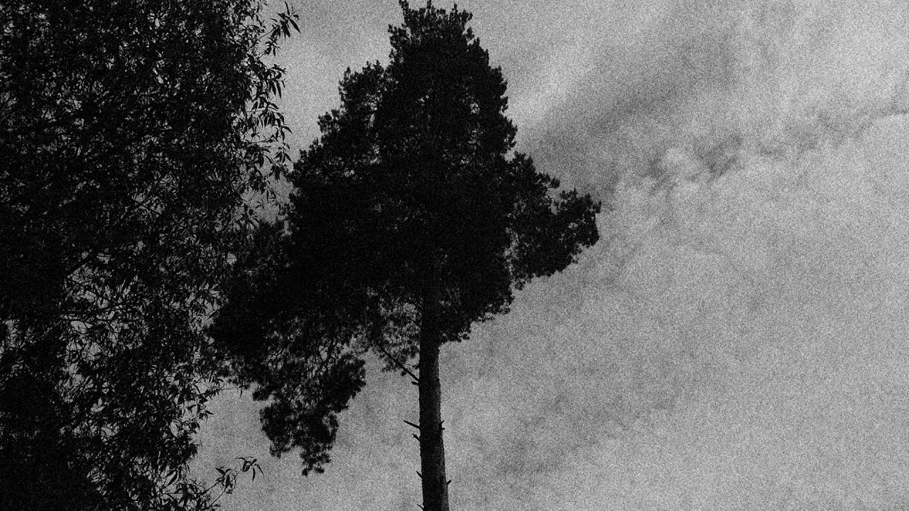 Depressive Black-Metal Playlist vol. 1