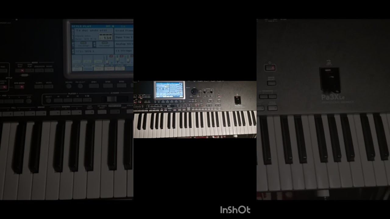 Set korg pa3x le 2024