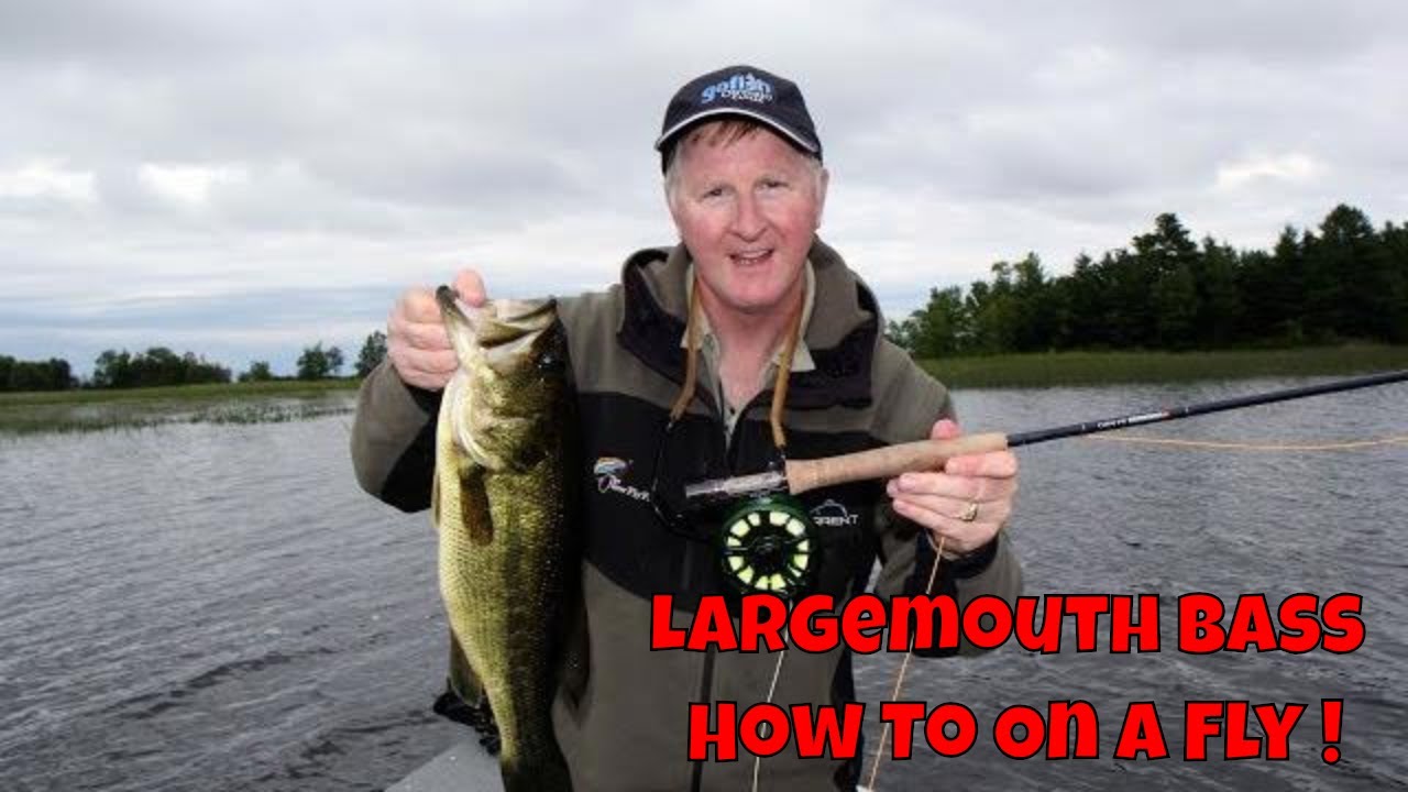 How to Catch BIG Largemouth Bass On Top with Flies!