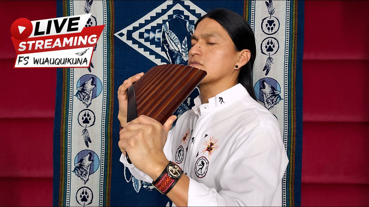 Magical Moments with Flutes #livestream #relax #musicforstudying #instrumental #fabianwuauquikuna