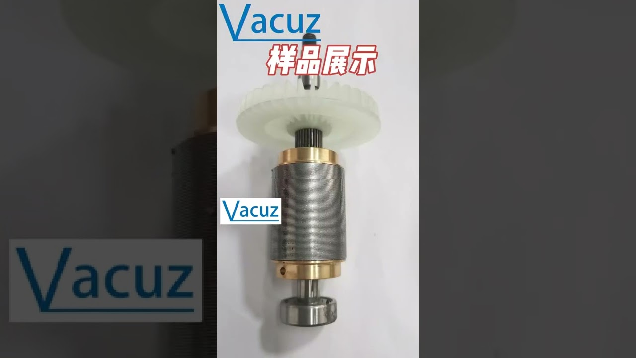 Vacuz Fully Automatic Rotor Motor Coil Winding Machine Assembly Autofeed Production Line
