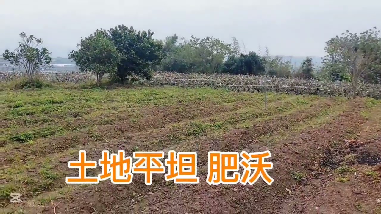 ★獨家㊣冬季美景★卓蘭景觀開心農場+休閒屋
