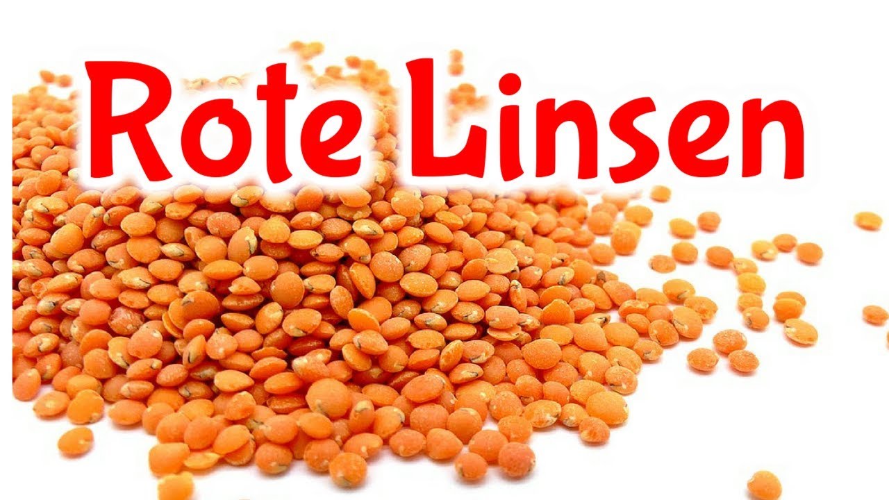 Rote Linsen - 5 Fakten 😎