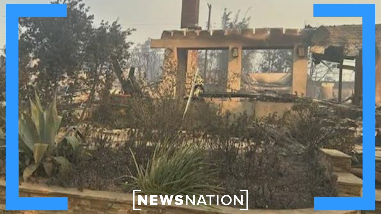 '97% of the houses are leveled': Pacific Palisades resident | NewsNation Now