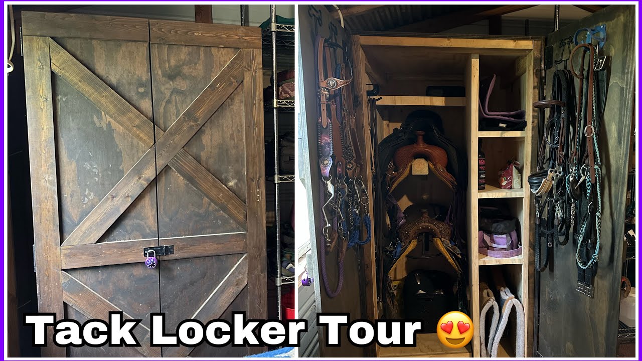 What's In My Tack Locker? | Tack Locker Tour | Little Idaly