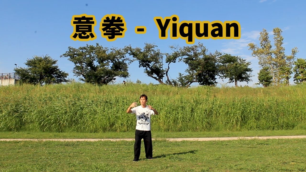 My Yiquan practice (1.5 year experience)