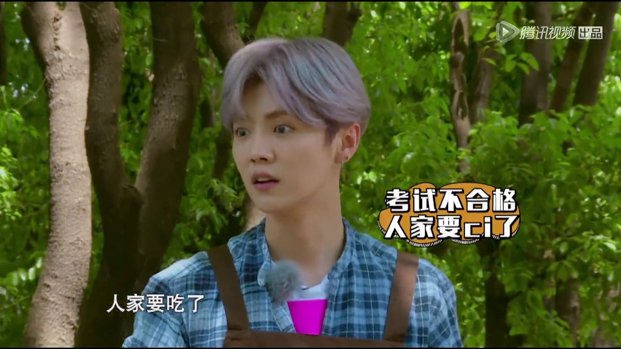哈哈哈，鹿晗被狗遛到满场乱跑，笑喷了！
