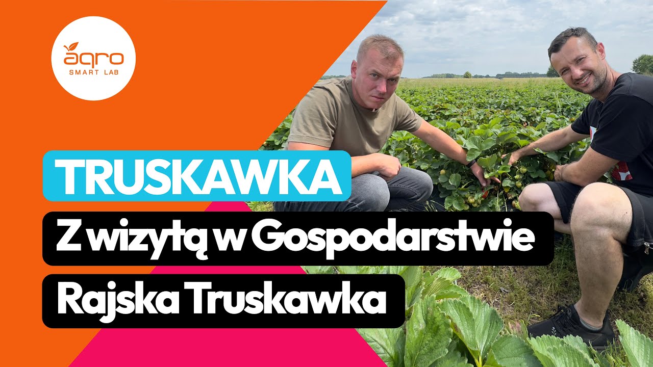 Agro ECA Protect w Rajskiej Truskawce