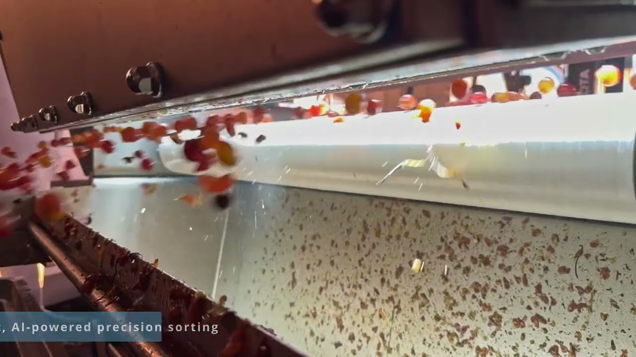 Opical Sorting Machine: ESOS 800 AI