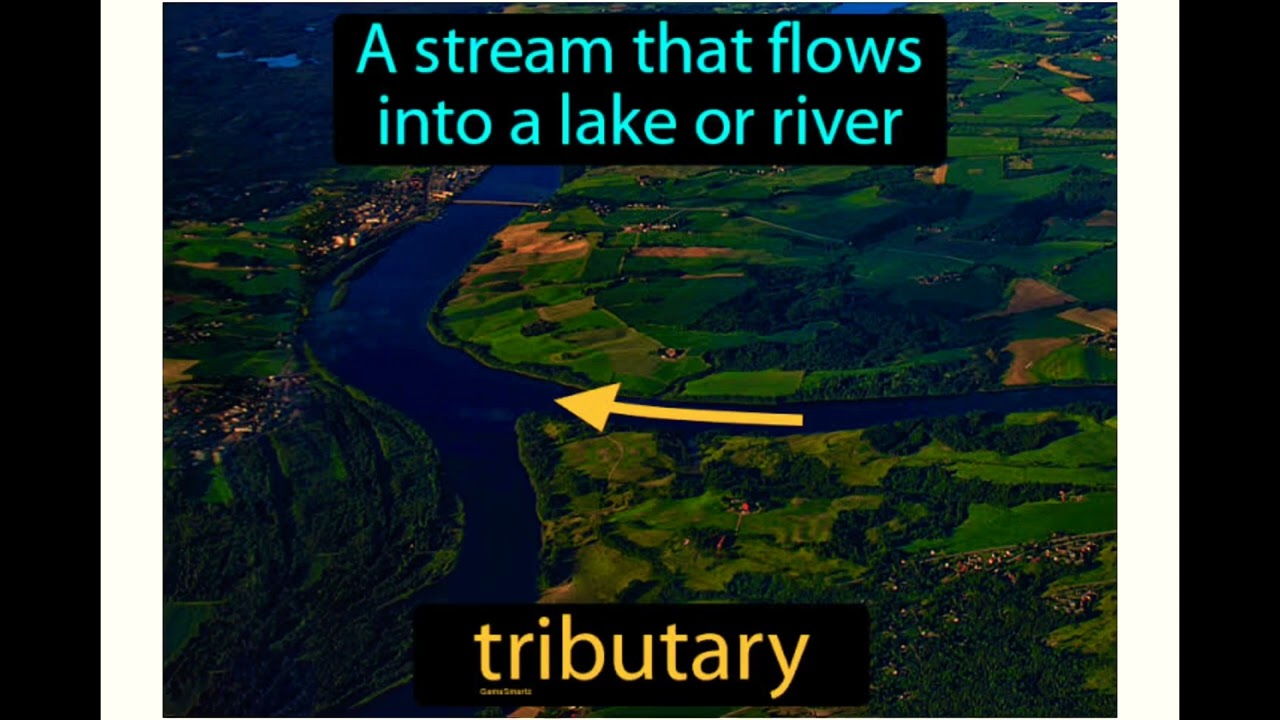 Rivers ,Tributaries, Distributaries & Delta