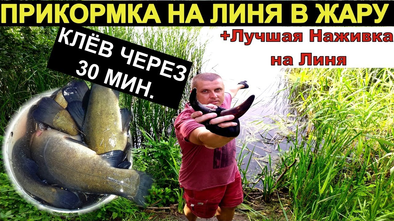 30 МИНУТ И ЛИНЬ НА ТОЧКЕ. Ловля линя. Рыбалка на линя лучшая прикормка и наживка.