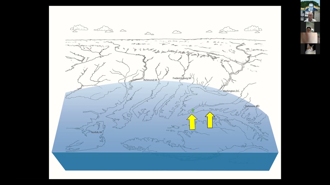 Miocene Fossils of Calvert Cliffs