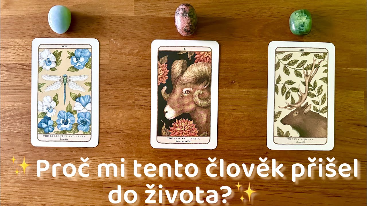 🔮⭐️Proč mi tento člověk přišel do života?👨‍👨‍👧‍👧👩‍👧👩🏻‍❤️‍👨🏻✨