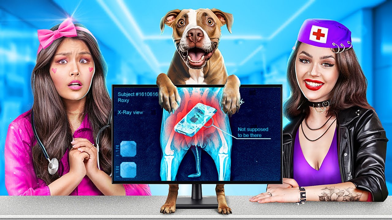 Good vs Bad! We Saved Tiny Pet! Extreme Cat Rescue in Hospital!