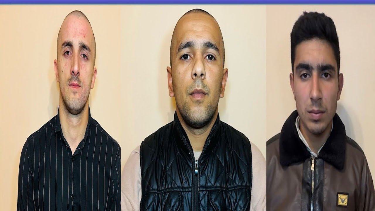 Şəkidə xırdabuynuzlu heyvan oğurlayan 3 nəfər saxlanılıb #şəki #oğurluq #cinayət #heyvanlar #tutulub