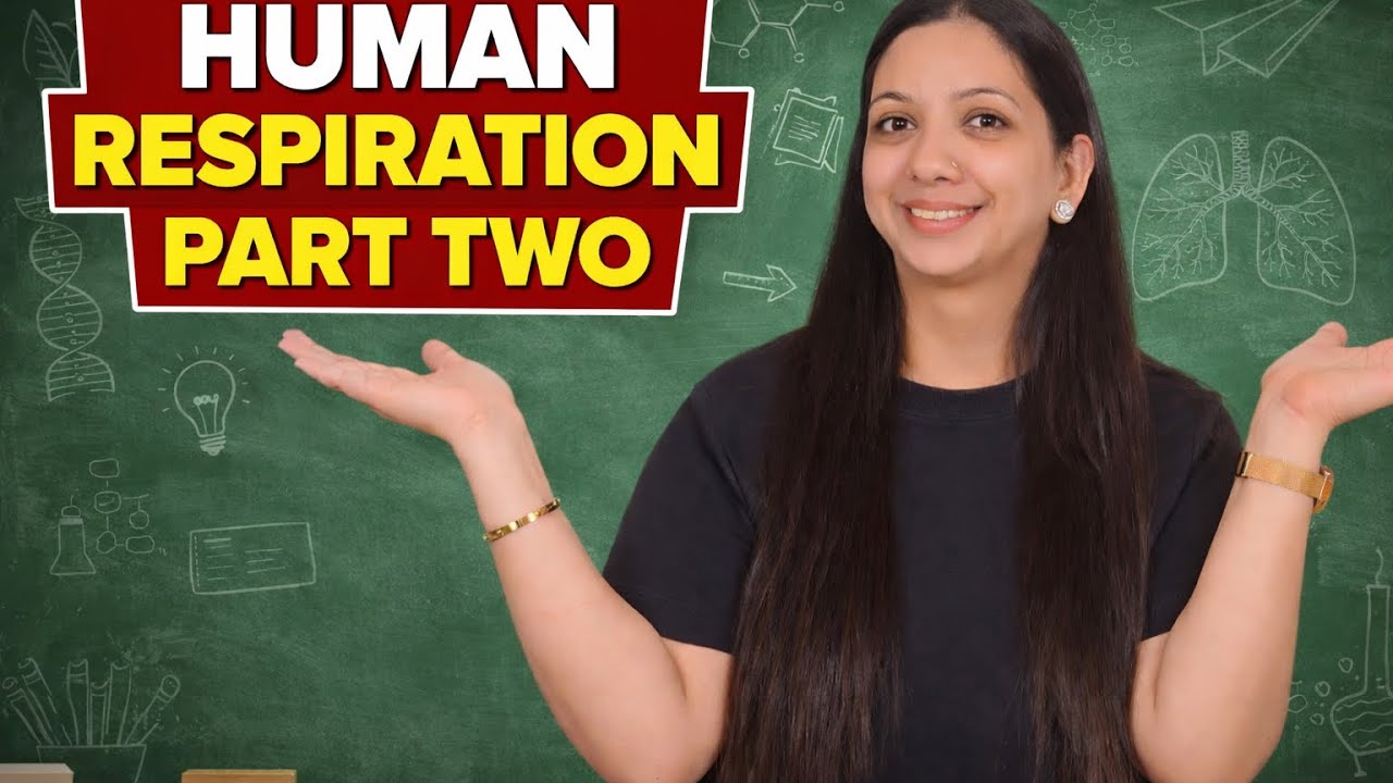 Human respiration part two
