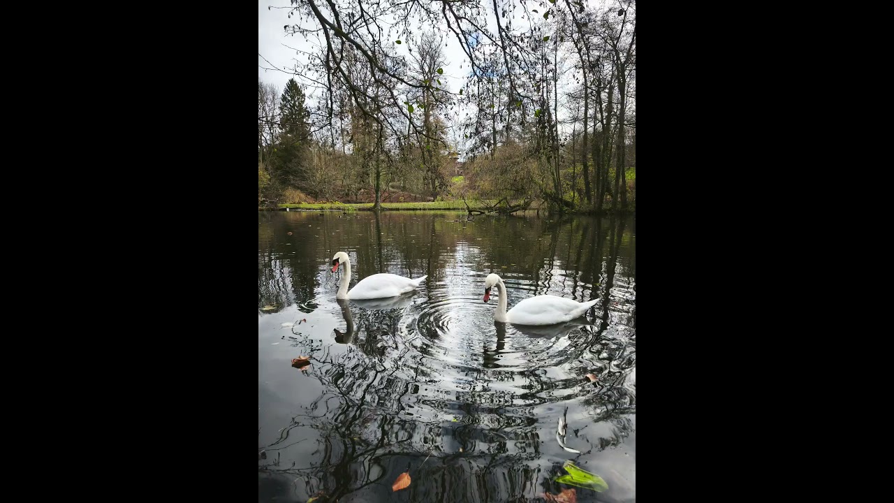 Exploring Brussels | Tournay-Solvay Park #brussels #bruxelles #travel #belgium #belgique #trip #view