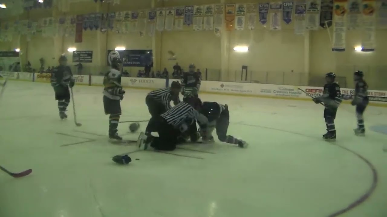 Golden Wolves Vs. Everblades cheap shot