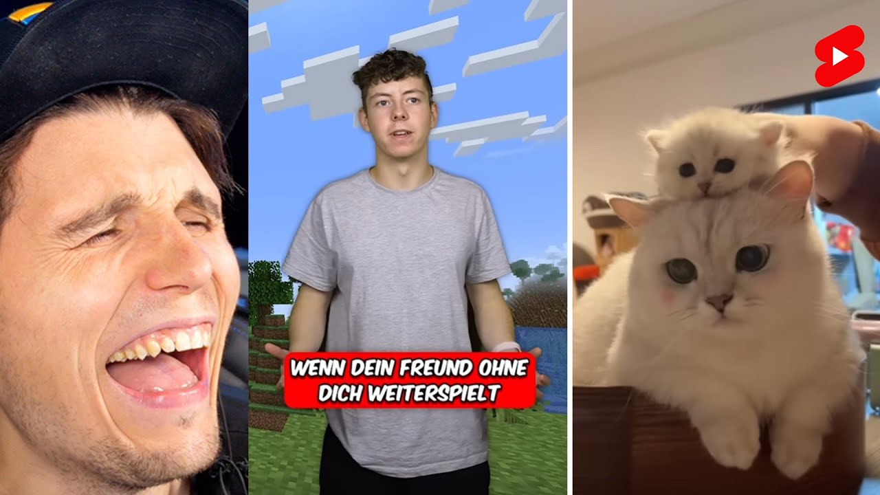Paluten guckt Shorts 264.0