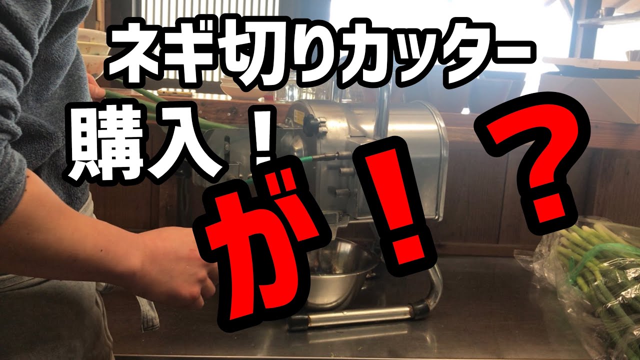 ヤフオクでネギ切りカッター買った結果が！！