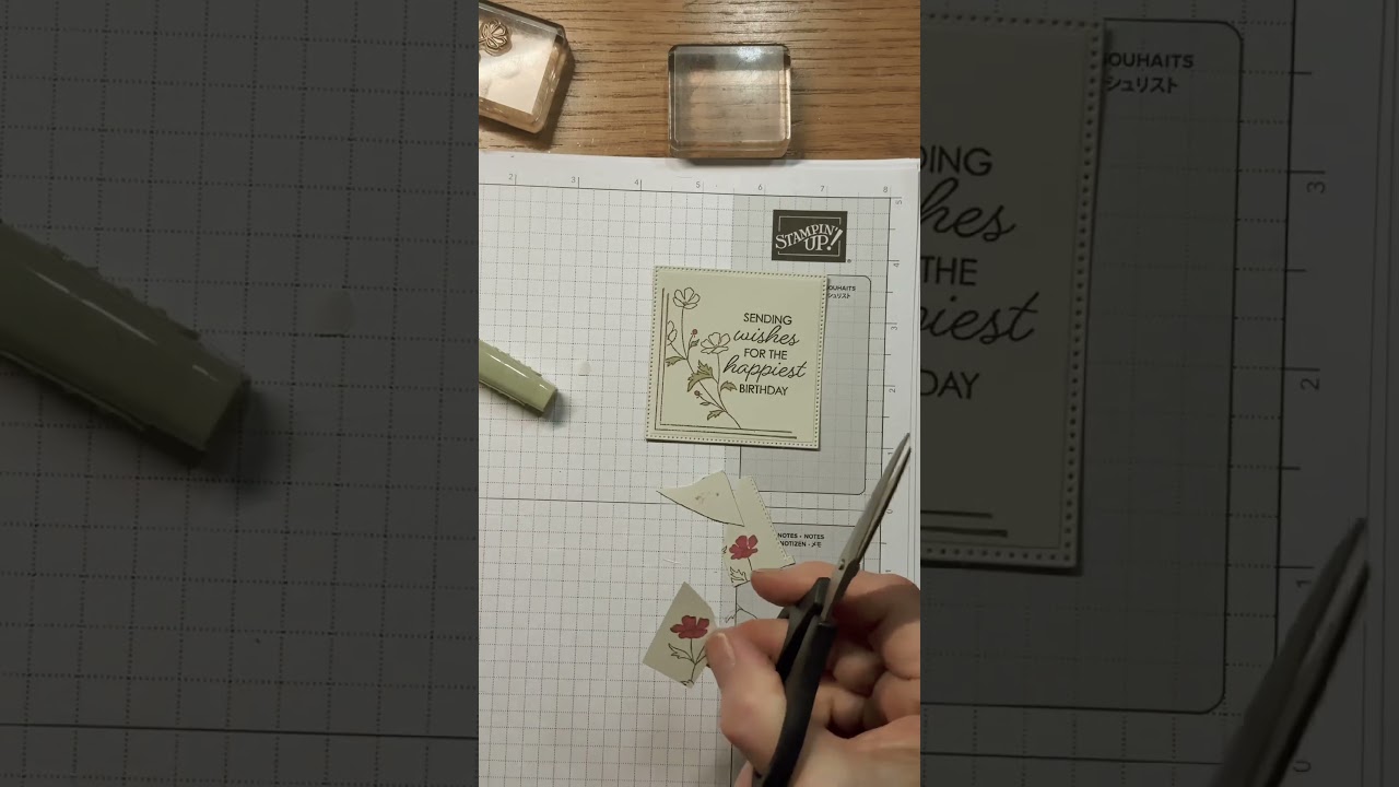 Stampin Up//Floral Charm DSP//Framed All Around//Birthday/#Shorts//Online Exclusives//Annual Catalog