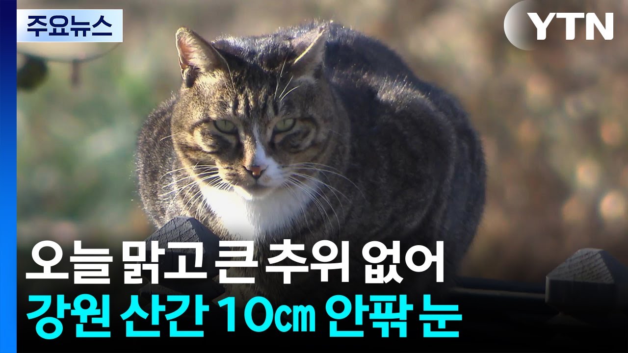 [날씨] 