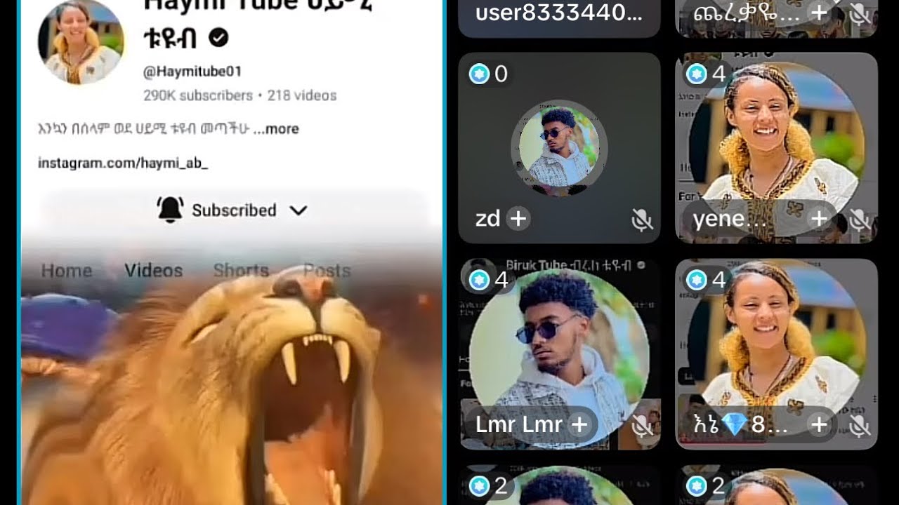 የሃይሚና ቡሩኬ አድናቂዎች ተጣሉ የብሩክ youtube subscribe ይነሳበት ስለተባለ🥹🥹