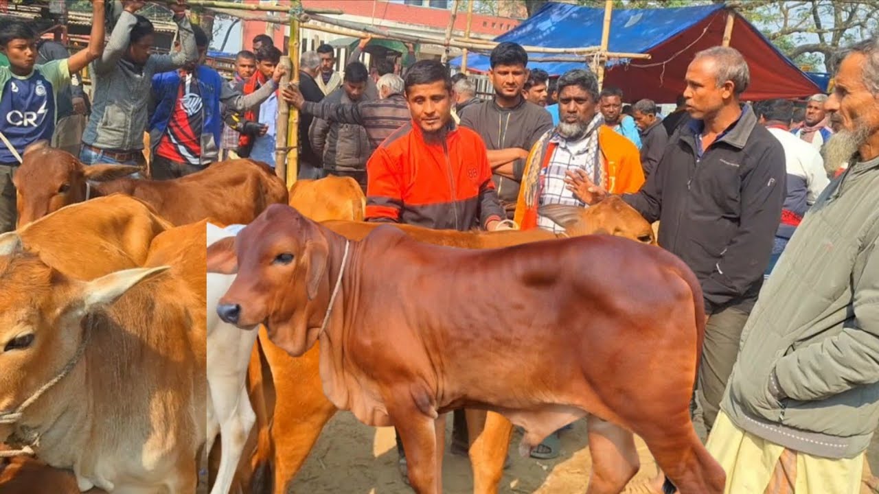 @আজ ৪ ফেব্রুয়ারী