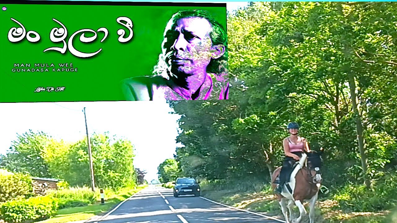 //  මන් මුලා වි ....පාර සොයා...