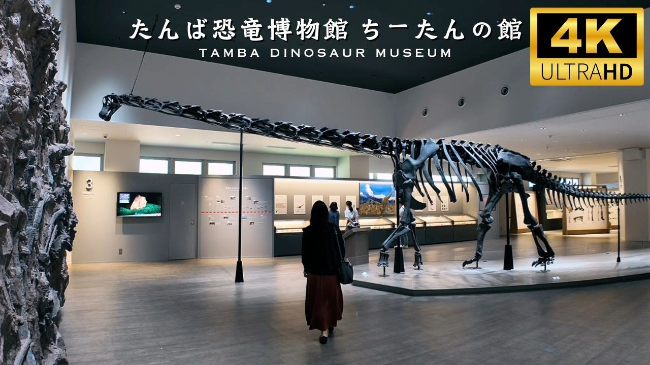 Brachiosaurus in Japan? Discover the Hidden Tamba Dinosaur Museum #たんば恐竜博物館