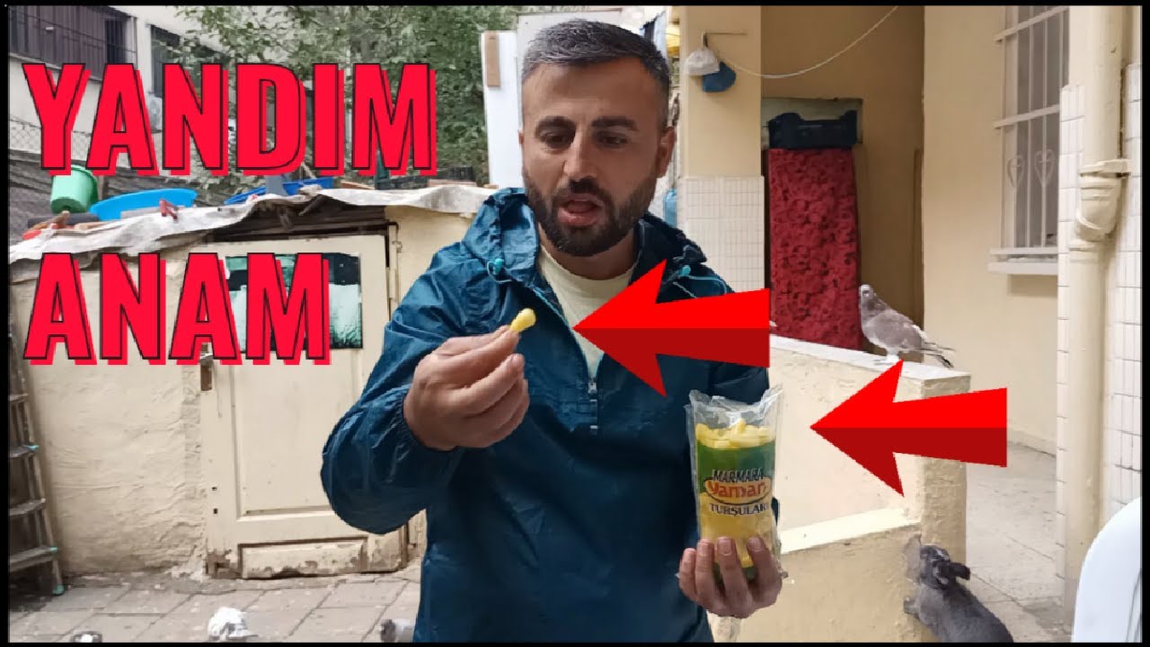 Güvercin Yakala Yoksa Acı Biberi Yersin ( Cezalı Oyun )