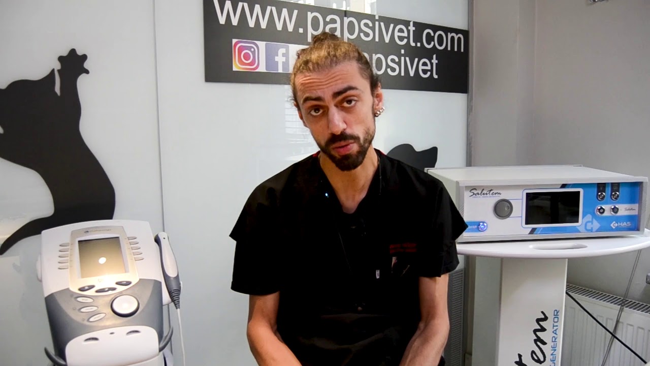 PapsiVet: Kedi ve Köpeklerde Kısırlaştırma & Cerrahi Operasyon Süreçleri-Vet. Hek. Berkay Güven