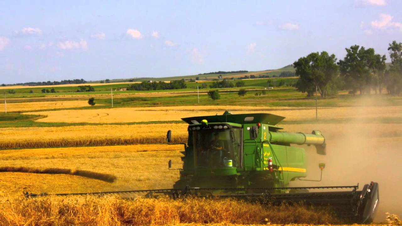 2011 Wheat Harvest Rock