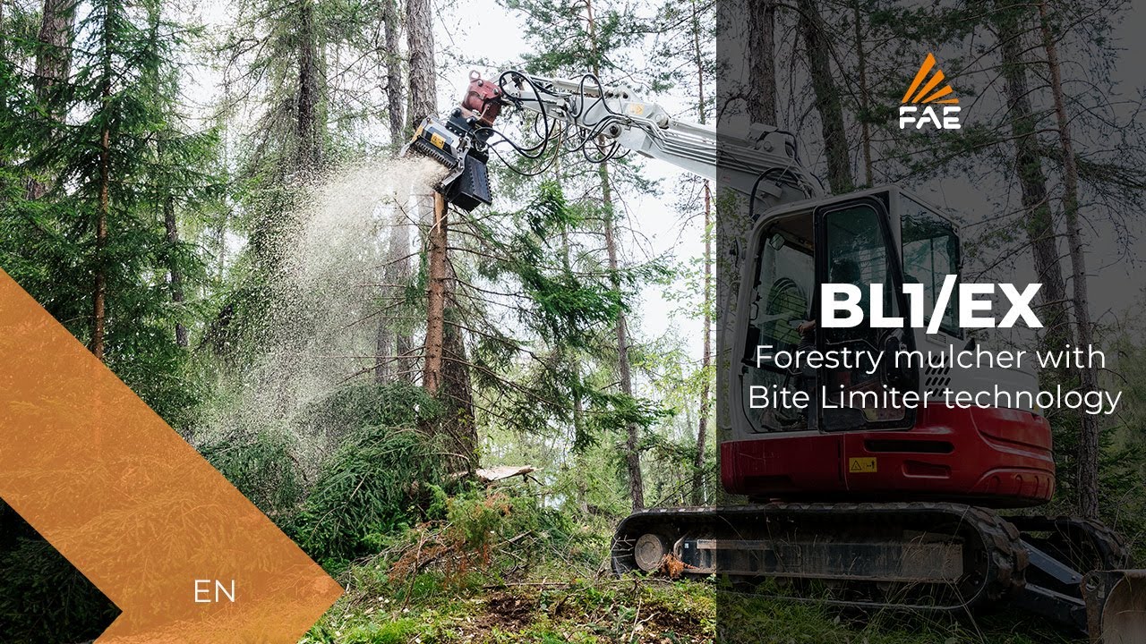 FAE BL1/EX - The forestry mulcher for excavators