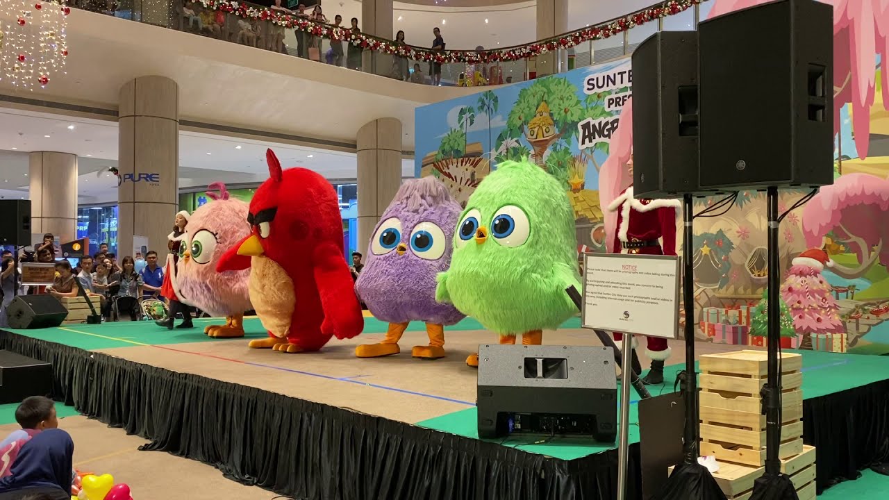 Angry Birds Hatchlings of Joy Live Show