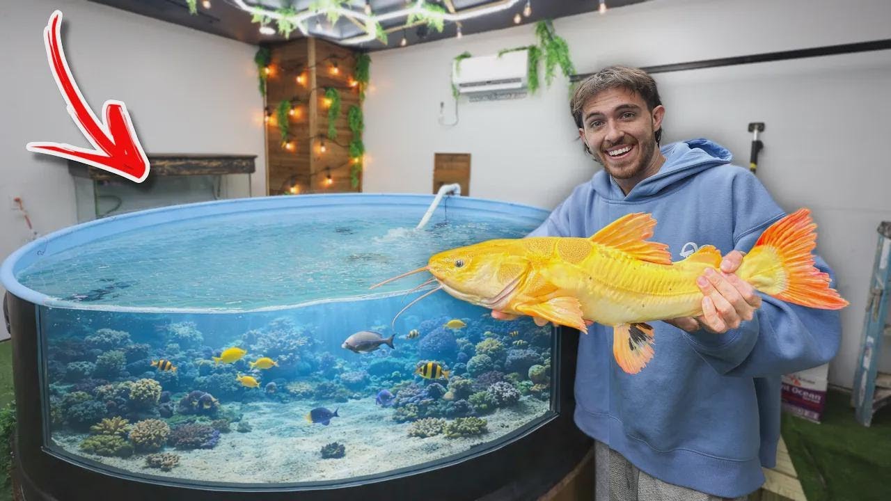 Transferindo peixe gigante para o lago de 1.000 litros na garagem?!
