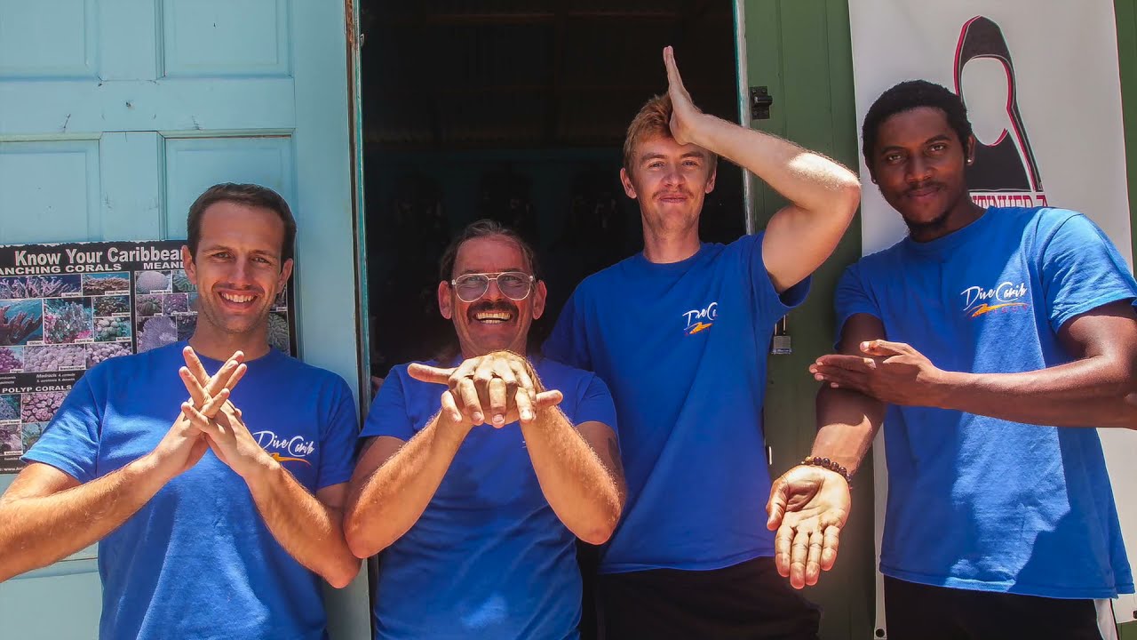 Eco-friendly Scuba Diving in Antigua: DiveCarib
