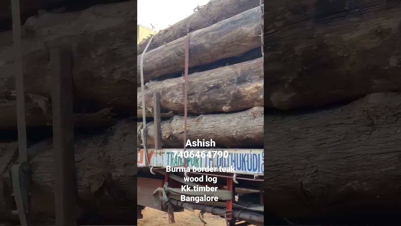 teak log#hardwood  #teakwood#wood#burma #burmateak #bangalore#homedecor #architect#interiordesign