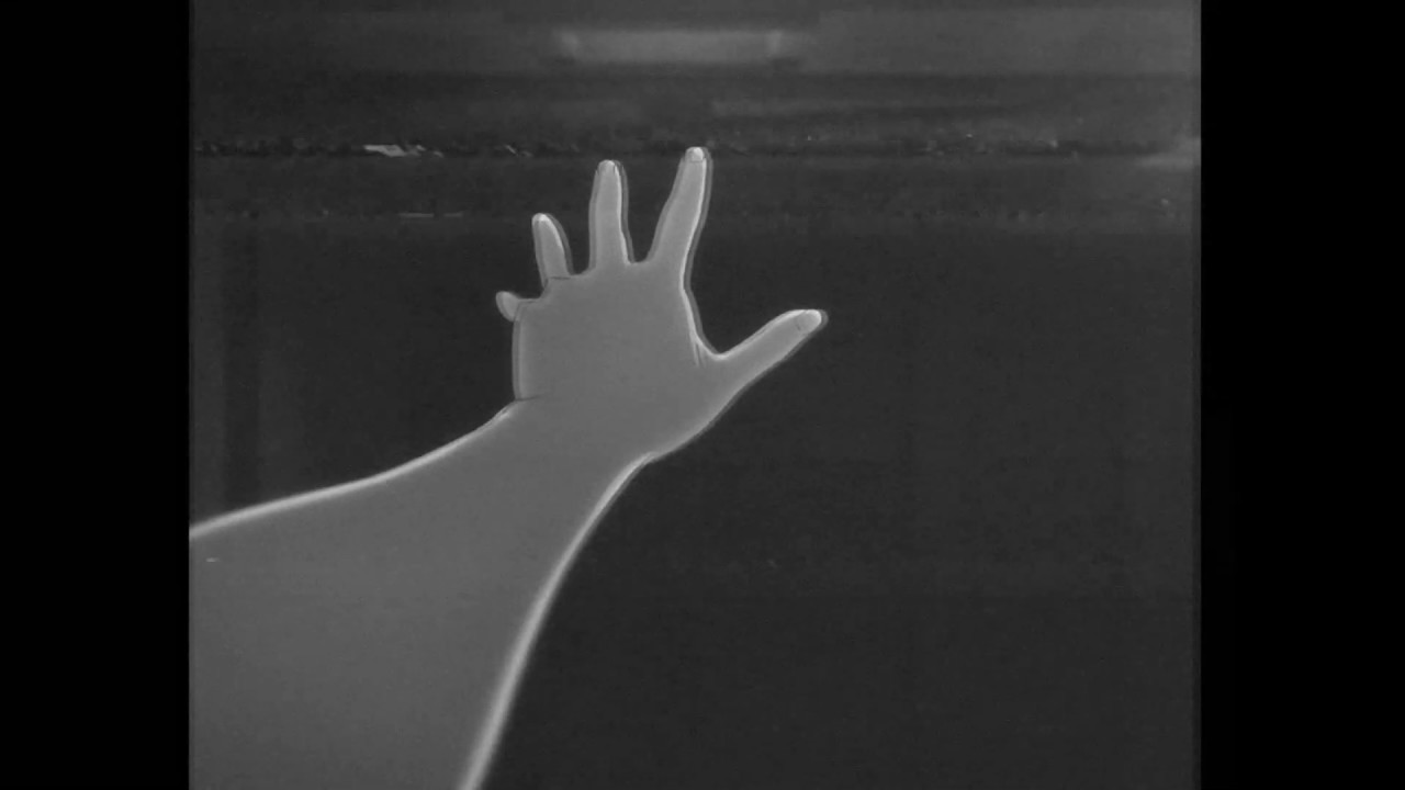 「🌸菖蒲」 Eyelids | VHS MEP
