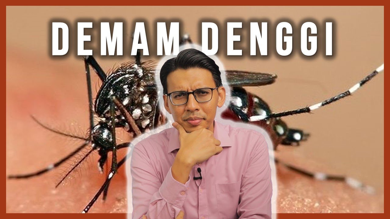 Tanda-tanda Demam Denggi. Rawatan Demam Denggi