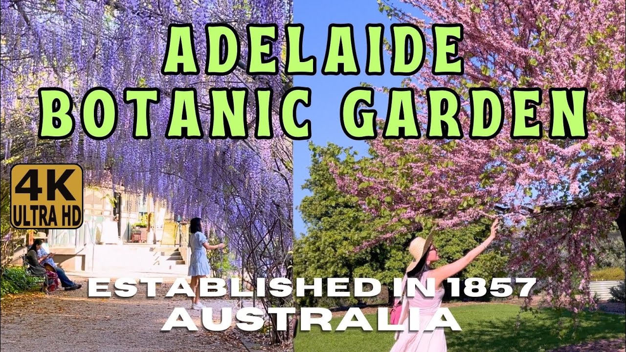 Adelaide, Australia Garden 4K Walking Tour