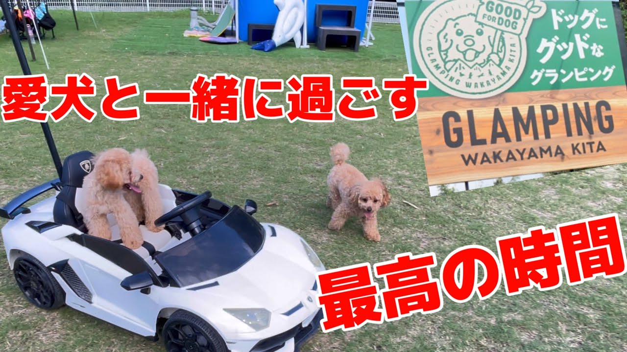 サービスが過剰過ぎてヤバい！！愛犬と一緒に行けるグランピング