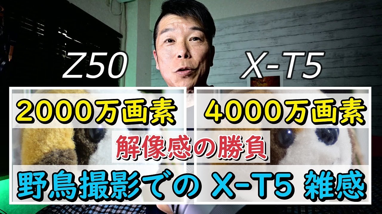 FUJIFILM X-T5 解像感の話 と 野鳥撮影での雑感