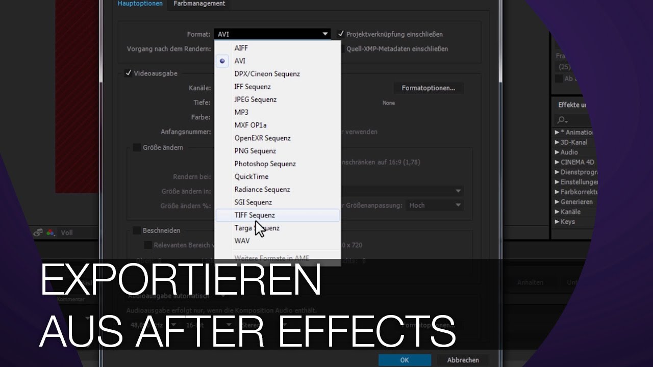 Videos exportieren aus After Effects I TUTORIAL