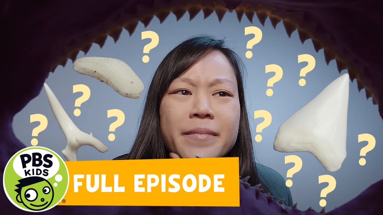 Mega Wow | Why Are Shark Teeth Different? | PBS KIDS