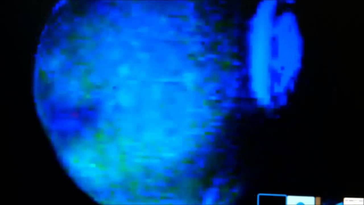 Daba Dee Daba Daa - spadi ediction